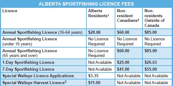 2020 Licence Cost